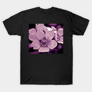 Glacier National Park Wild Flowers, black and white T-Shirt